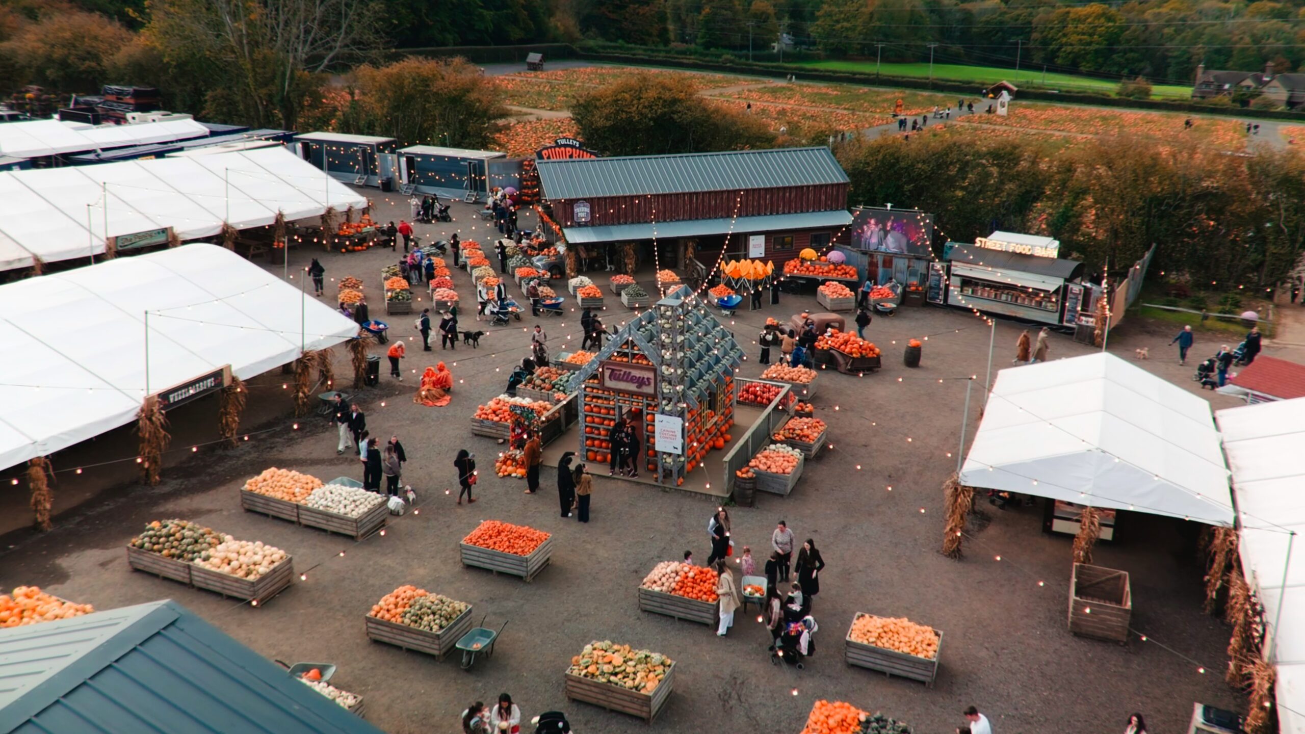 Shiftie- How We Helped Tell Their Story Through Tulleys Farm convergence films filmmaking production