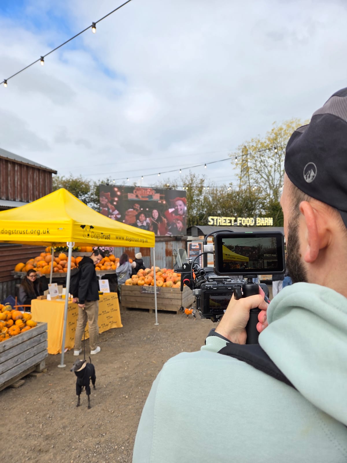 convergence films working values top tier standards